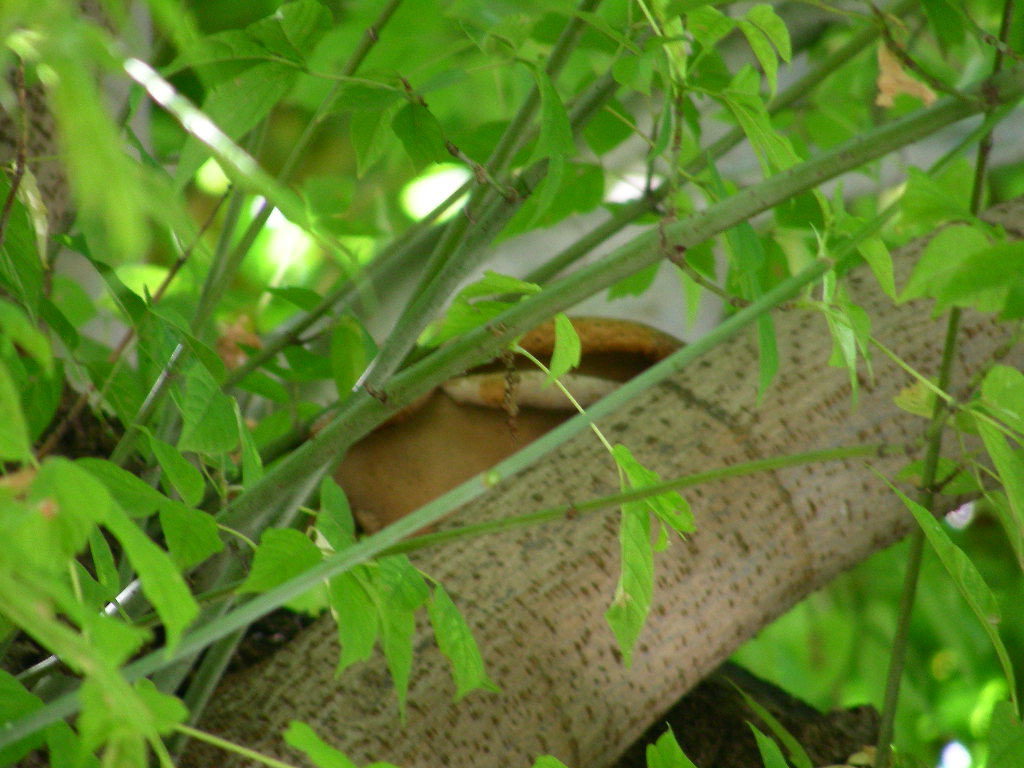 Eppure ti ho visto ...!!!(quiz)